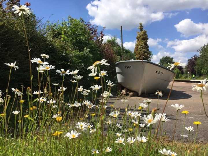 Boat and flowers at Cantley