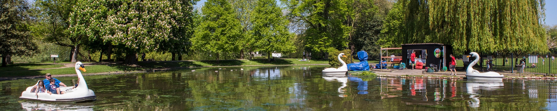 The boating lake at Colchester Castle Park