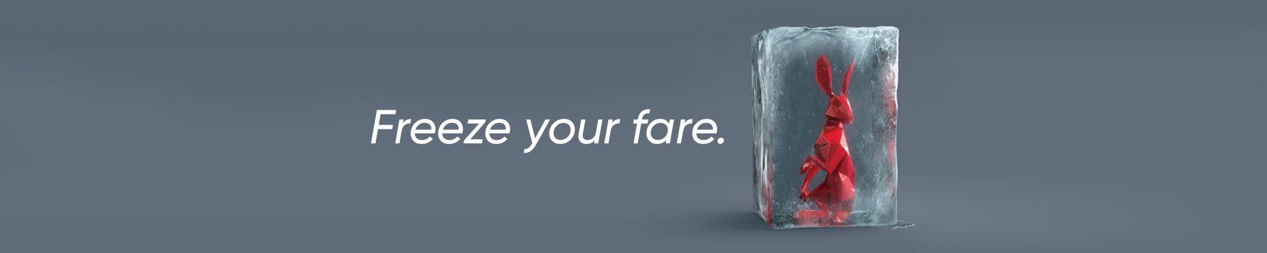 Freeze your fare
