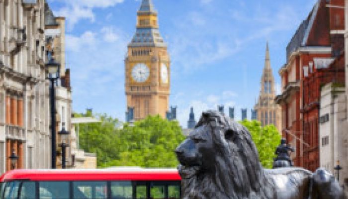 Ultimate London Sightseeing Walking Tour with 30+ Sights