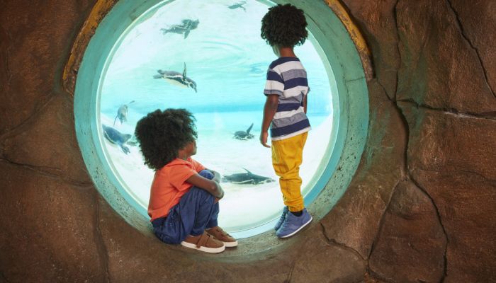 London Zoo - free child place