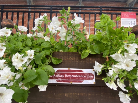 Planter with a Remembrance dedication plaque and covered in white flowers