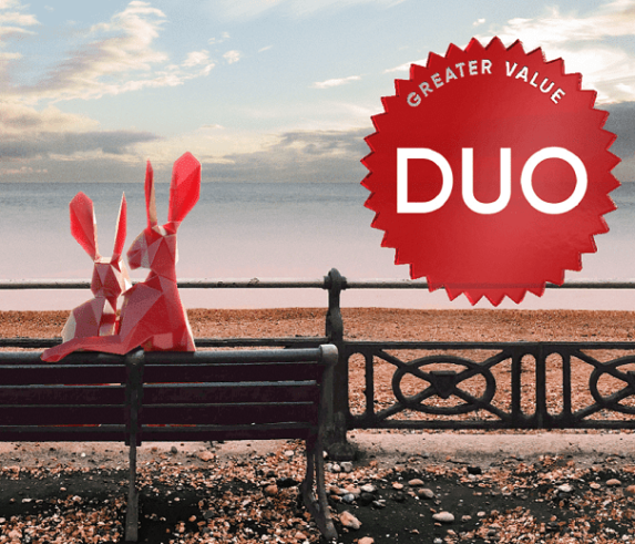 Two red hares sitting on a bench at the beach