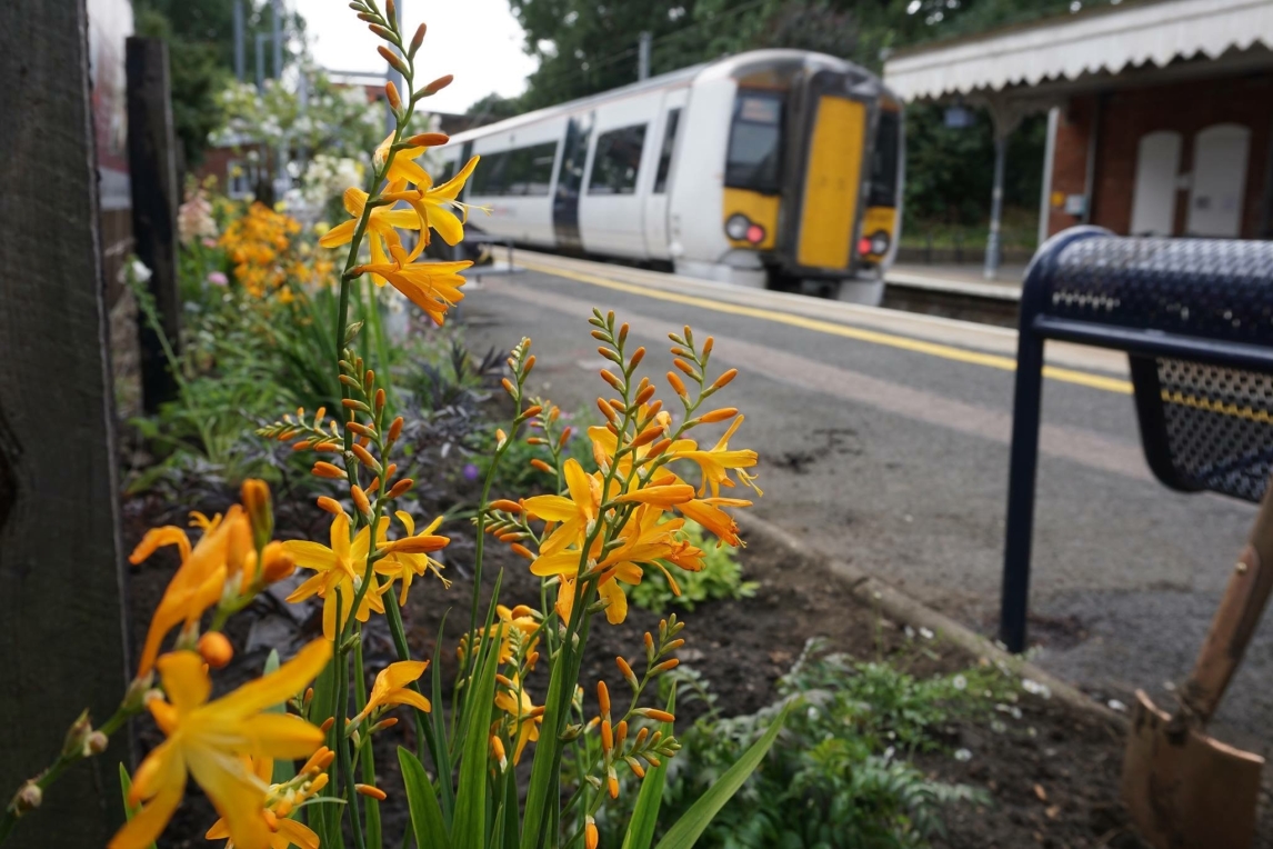 Flowers at Whittlesford station