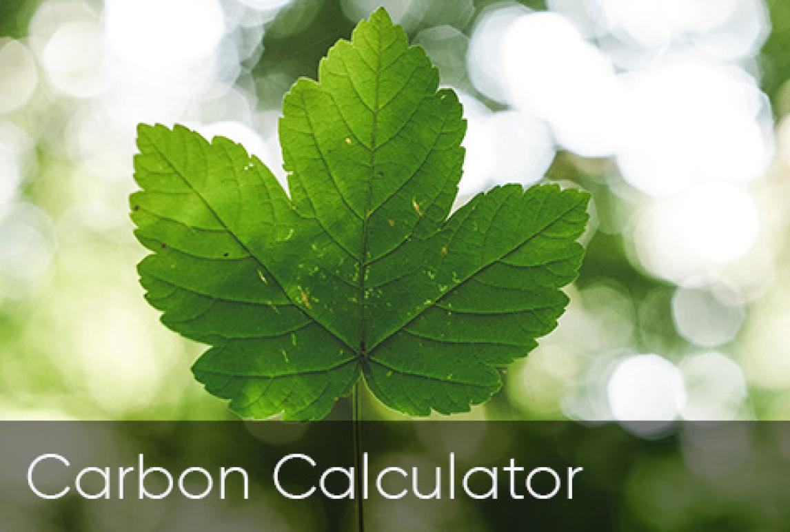 Green Anglia - Carbon Calculator