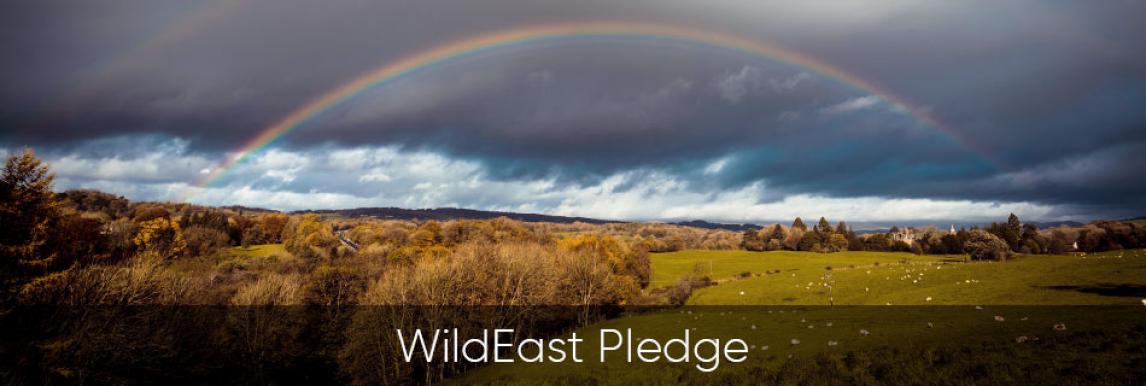 Green Anglia - WildEast pledge