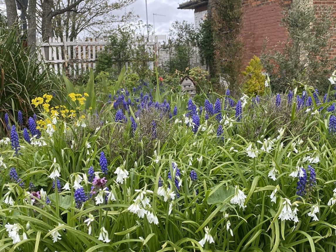 Flowers in bloom at Alresford station
