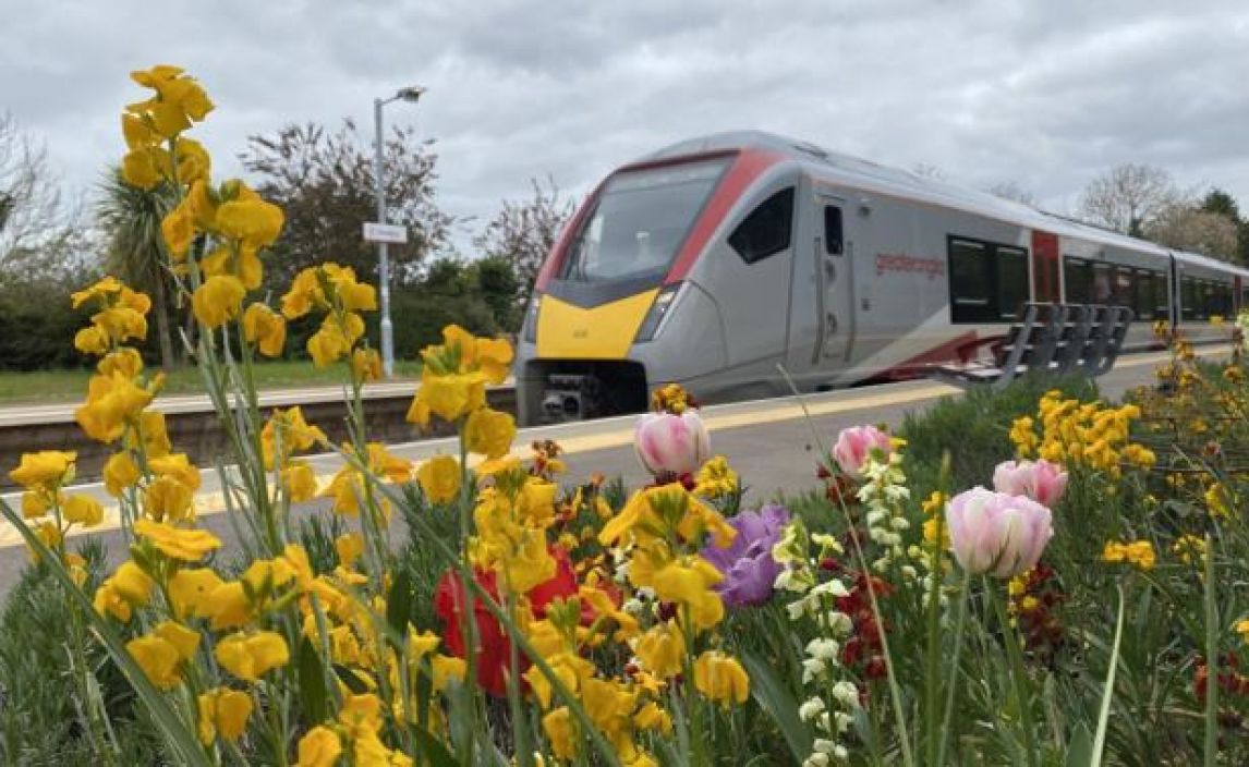 A new Greater Anglia train passes flowers in bloom on a rail station garden. 