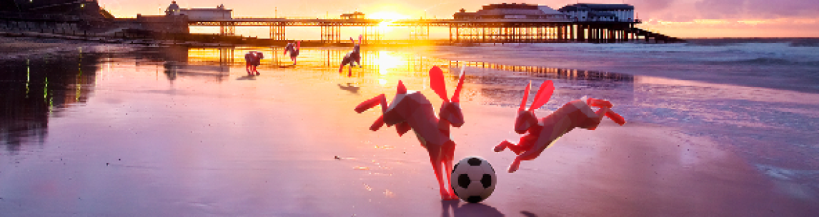 Hares playing football at the beach