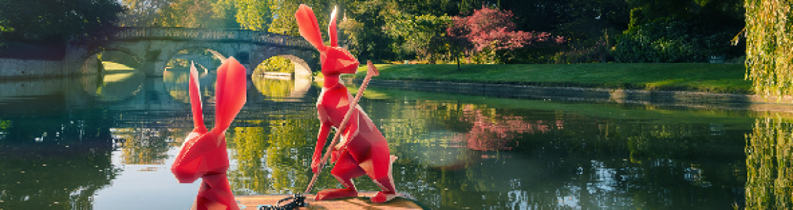 Hares punting along the river