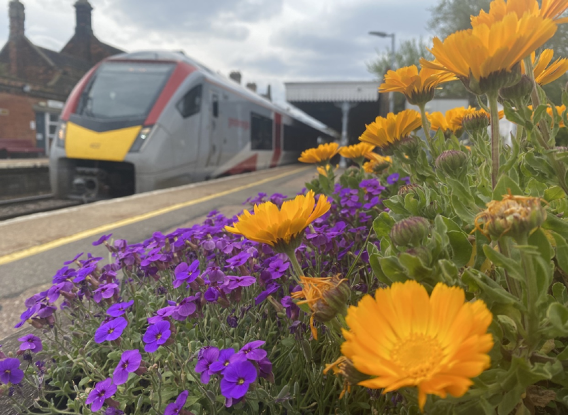 New Greater Anglia train passes a rail station garden