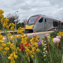 Cantley new train with flowers