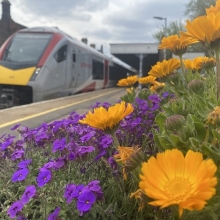 Thetford new train flowers